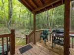 Lazy Bear Cove - Back Porch Grill